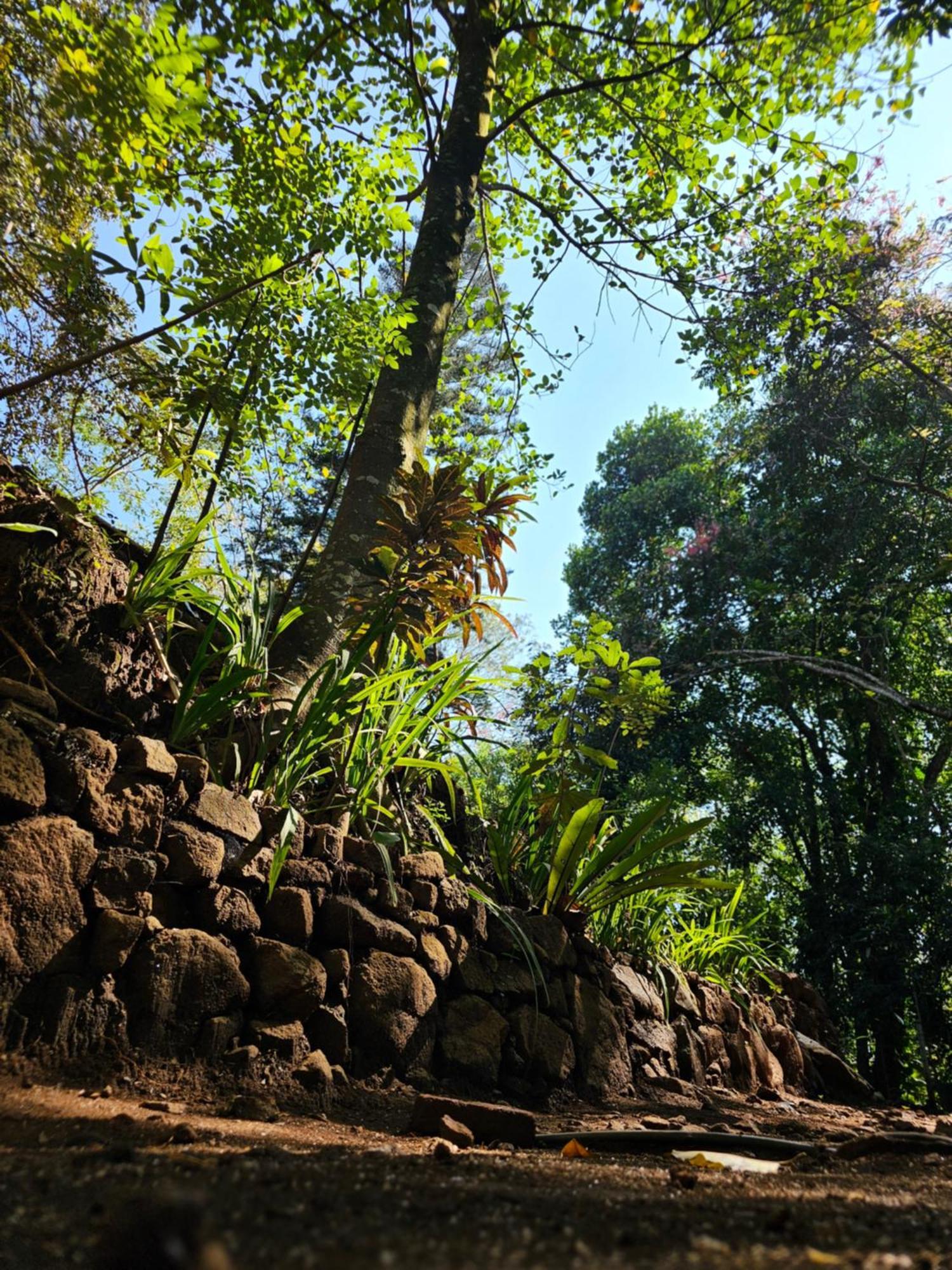 Galkanda Walawwa Kandy Extérieur photo